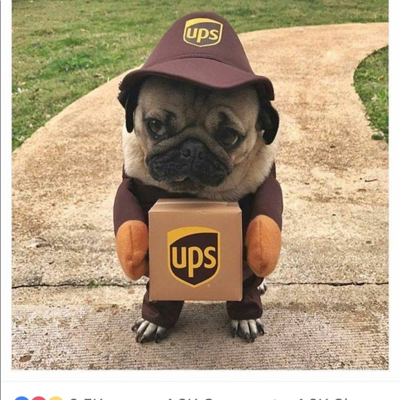 Meet your Posher, Kristy - Picture 7 of 16